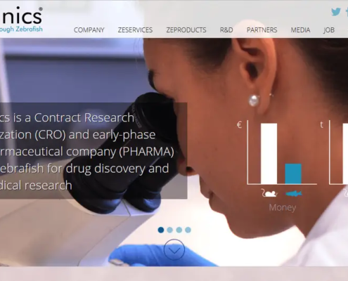 Web project for WordPress SEO optimization by ZeClinics, on-page improvements, Semantic SEO and content architecture.